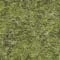 RAW-026-Reed Green
