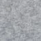 RAW-031-African Gray