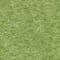 RAW-046-Fruit Green